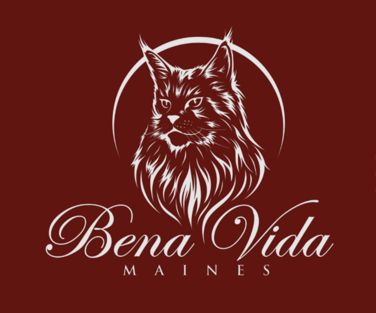 Screenshot 2022 11 20 at 10.48.47 am 768x641