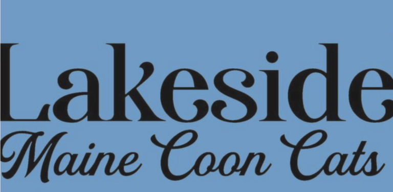 Screenshot 2022 11 20 at 8.24.26 am 768x375