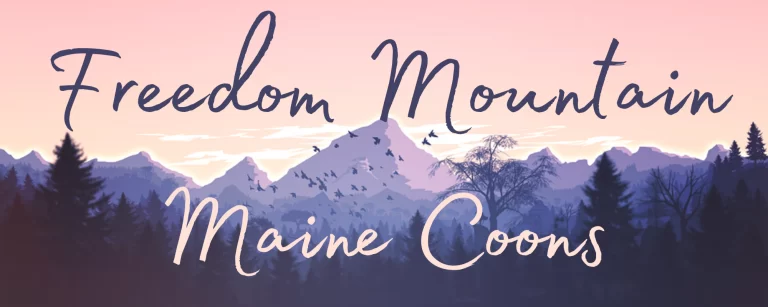 Freedom Mountain Main Coons 768x307