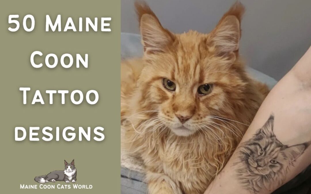 50 Maine Coon Tattoo Designs