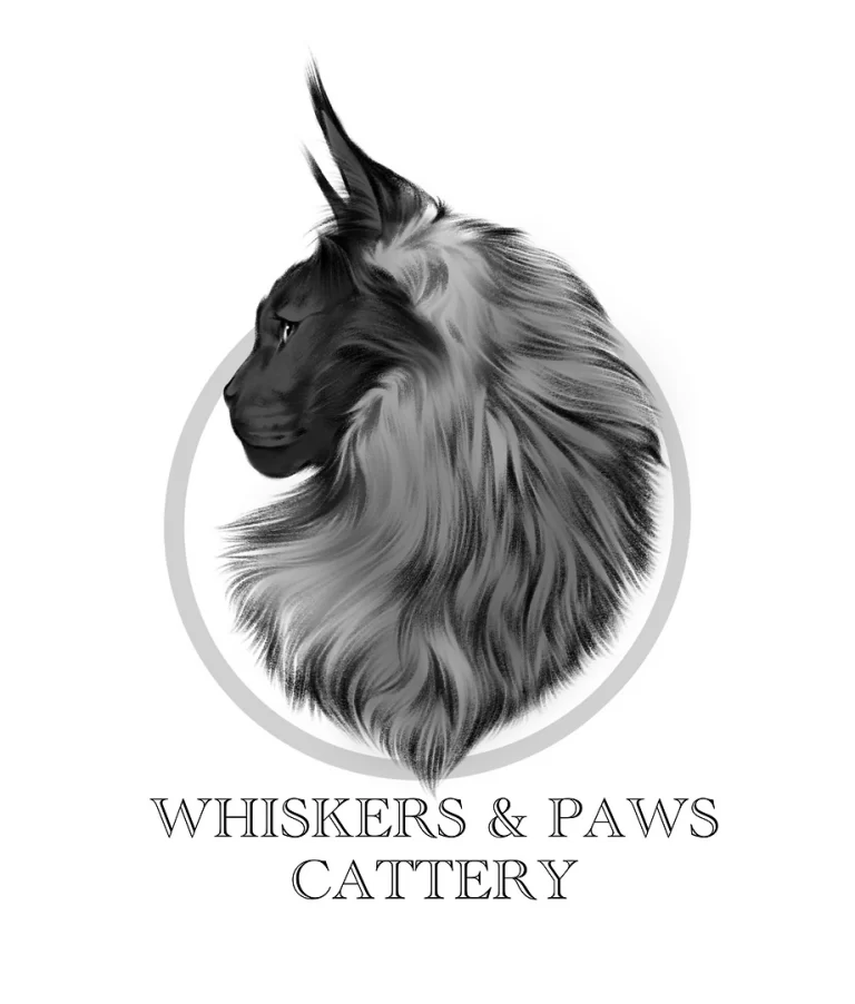 P White on Grey 768x902