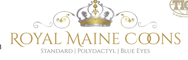 Screenshot 2023 01 08 at 12.05.02 pm 768x248