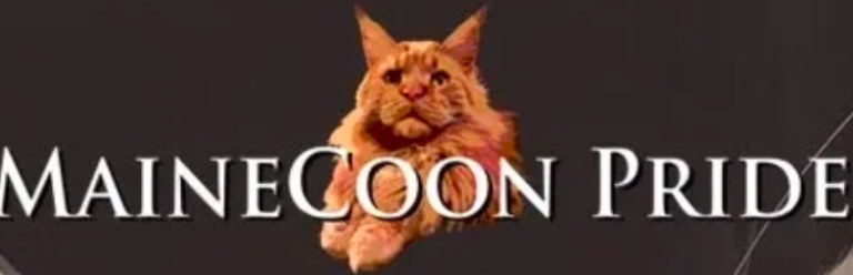 Screenshot 2023 01 09 140638 768x248