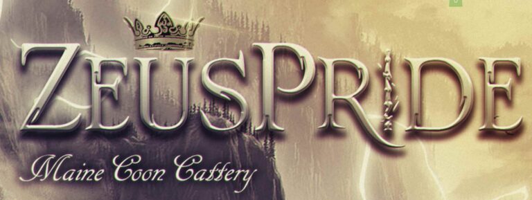 Screenshot 2023 01 29 at 2.39.30 pm 768x289