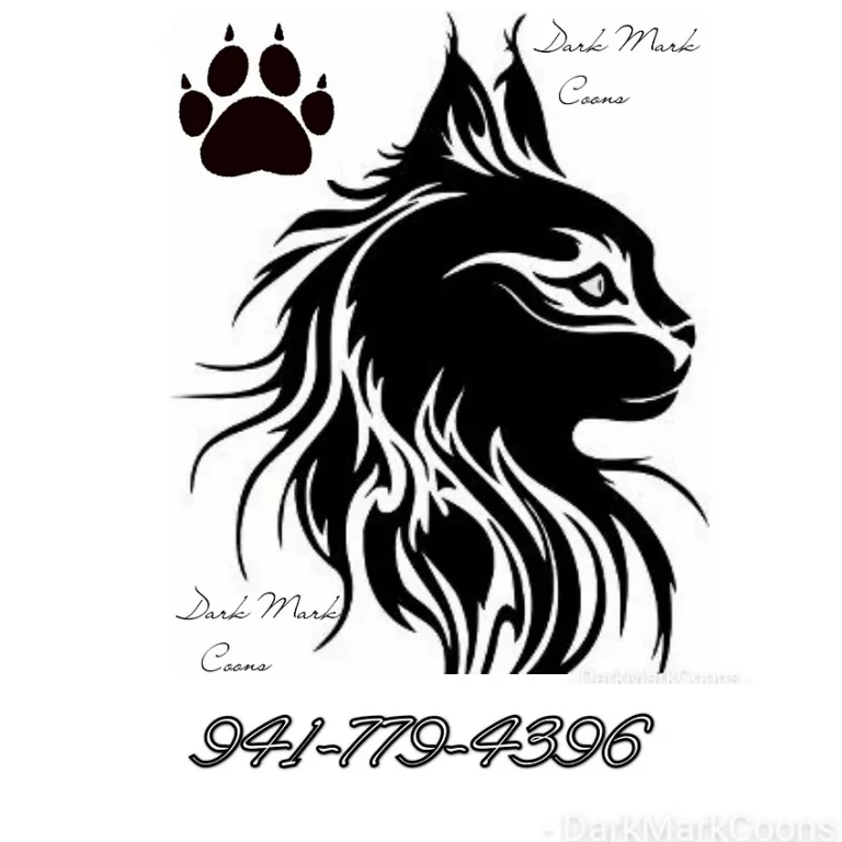 darkmrkcoons 768x768