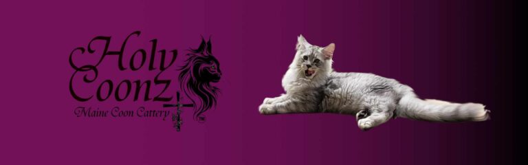 holy coons 768x240