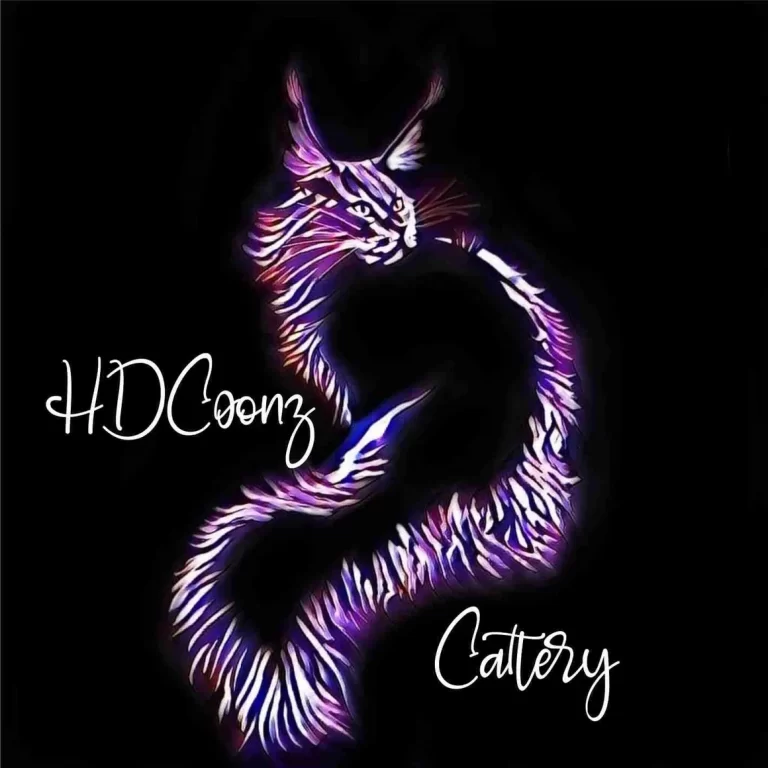 rsw 1160h 1160 768x768