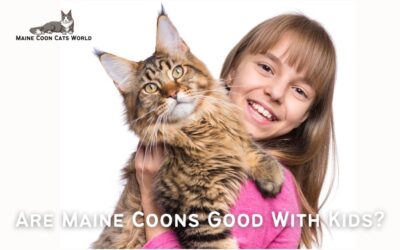 Are Maine Coons Good with Kids?