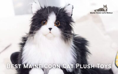 Maine Coon Plush Toys