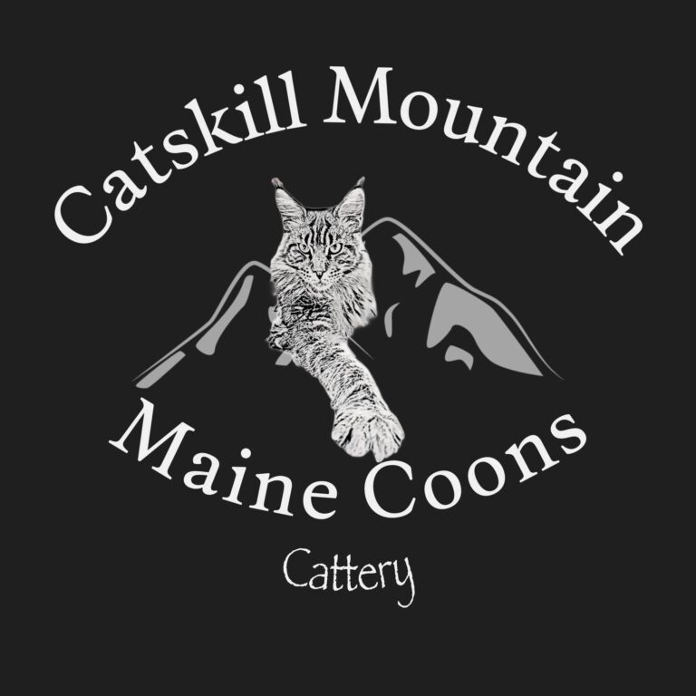 310831795 136200335825760 2839139420380119249 n 768x768