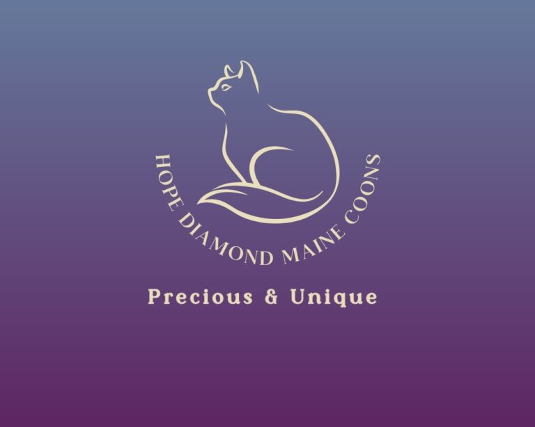 342426919 1089190228706959 1474244675577589906 n 768x614